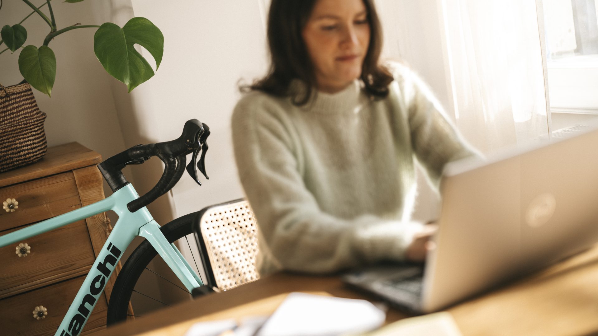 DIENSTRAD_SEL_FIN_29